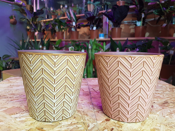 Ceramic Pot ϕ-12cm x h-12cm