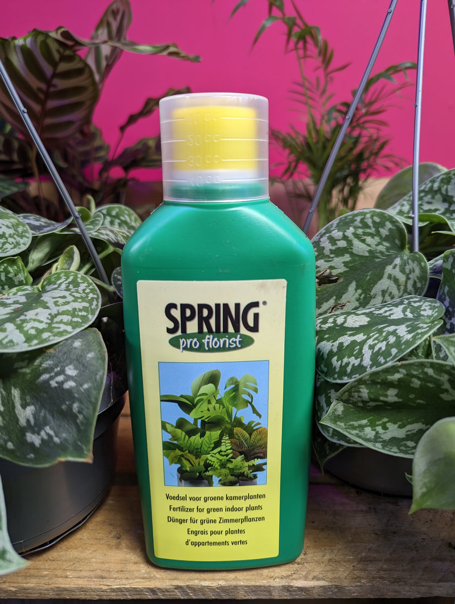 house-plants-fertilizer-for-green-indoor-plants-500-ml-green-charm